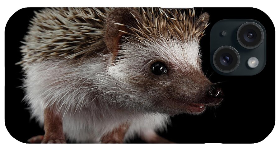 Hedgehog iPhone Case featuring the photograph Prickly hedgehog by Sergey Taran