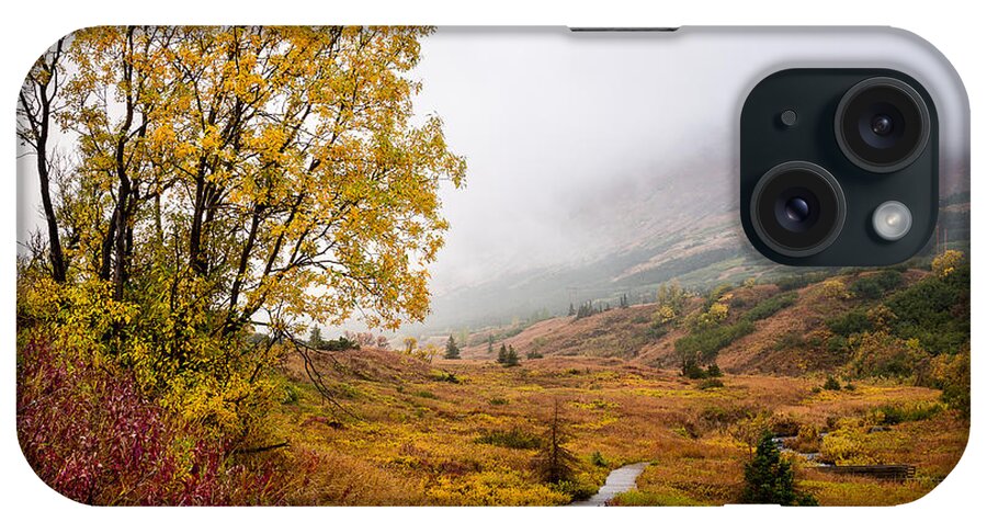 Alaska iPhone Case featuring the photograph Rainy Autumn Walkies m by Tim Newton
