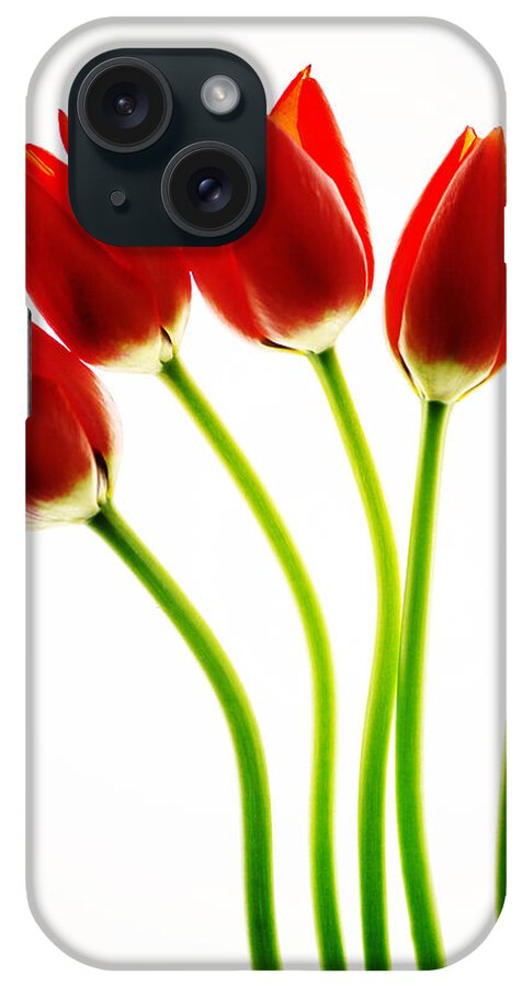 Flowers iPhone Case featuring the photograph Red Hots #2 by Rebecca Cozart