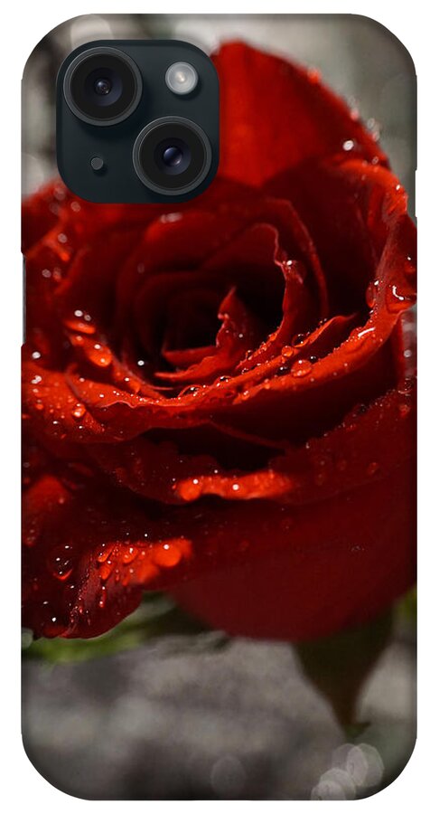 Rose iPhone Case featuring the photograph Red Rose with rain drops #1 by Lilia S