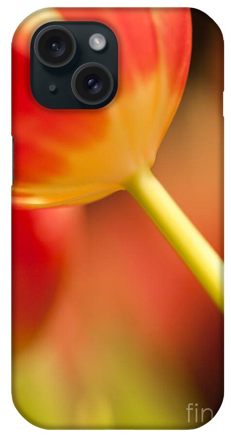 Tulip iPhone Case featuring the photograph Red Tulips #3 by Heiko Koehrer-Wagner