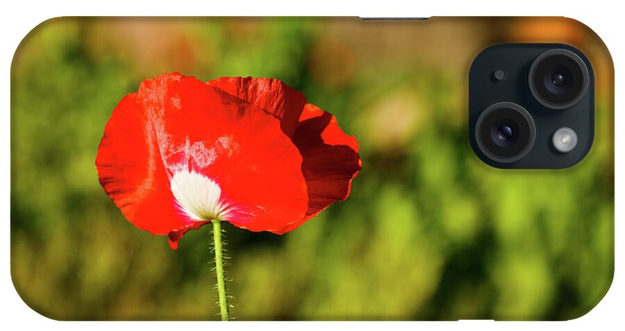 Austin iPhone Case featuring the photograph Red Wildflower #1 by Raul Rodriguez