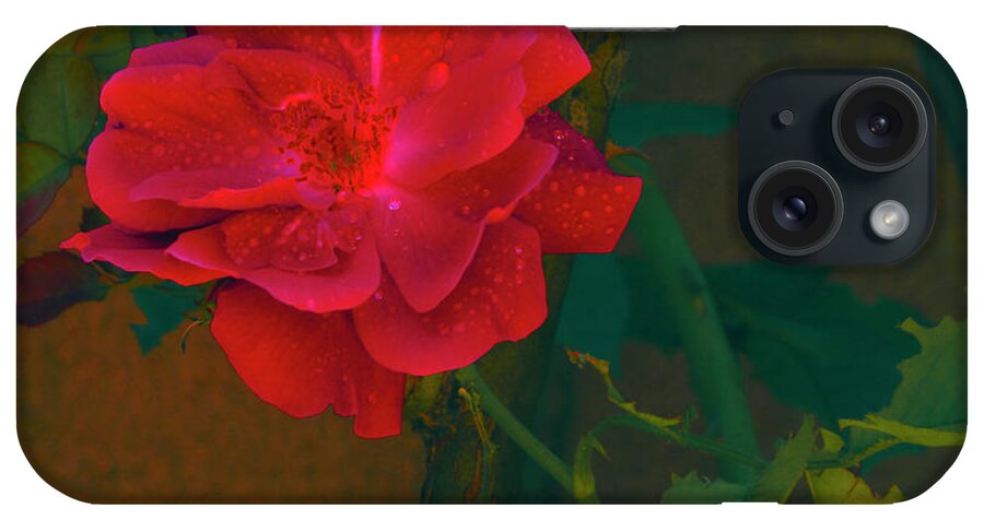 Santa iPhone Case featuring the mixed media Rose #1 by Charles Muhle