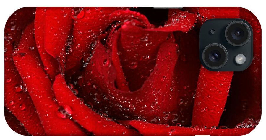 Rose Of Love iPhone Case featuring the photograph Rose of Love #1 by Darren Fisher