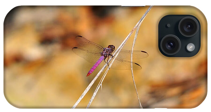 Roseate Skimmer iPhone Case featuring the photograph Fuchsia Fly by Al Powell Photography USA