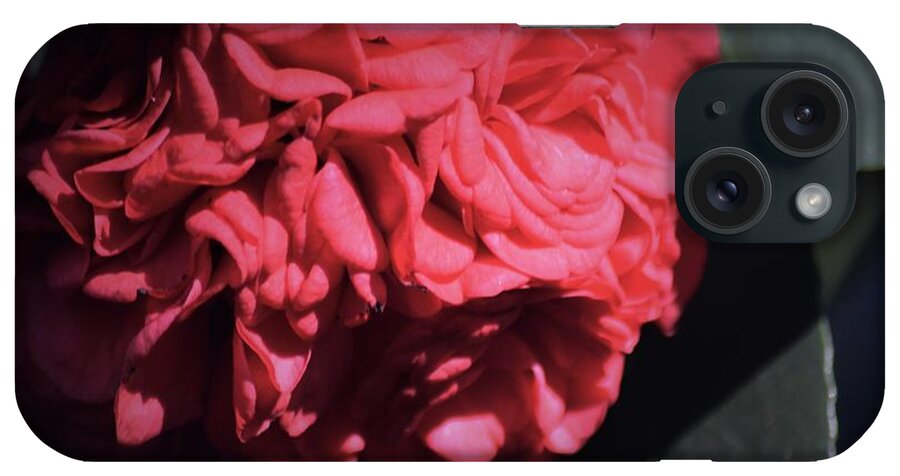 Ruffled Camellia iPhone Case featuring the painting Ruffled Camellia #1 by Warren Thompson