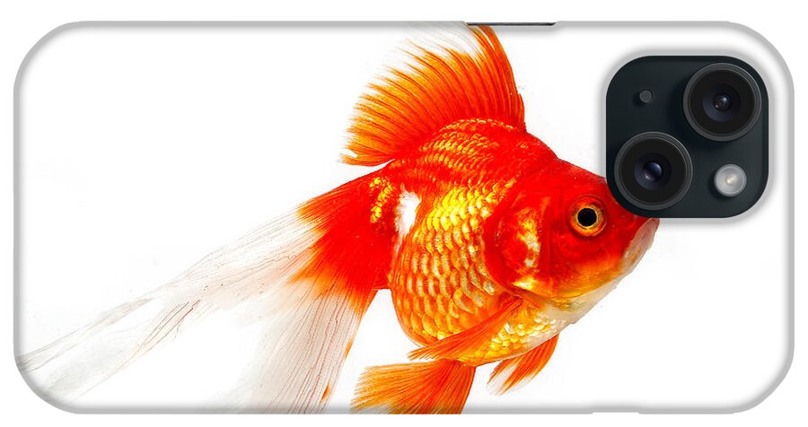 Adult iPhone Case featuring the photograph Ryukin Goldfish Carassius Auratus #1 by Gerard Lacz