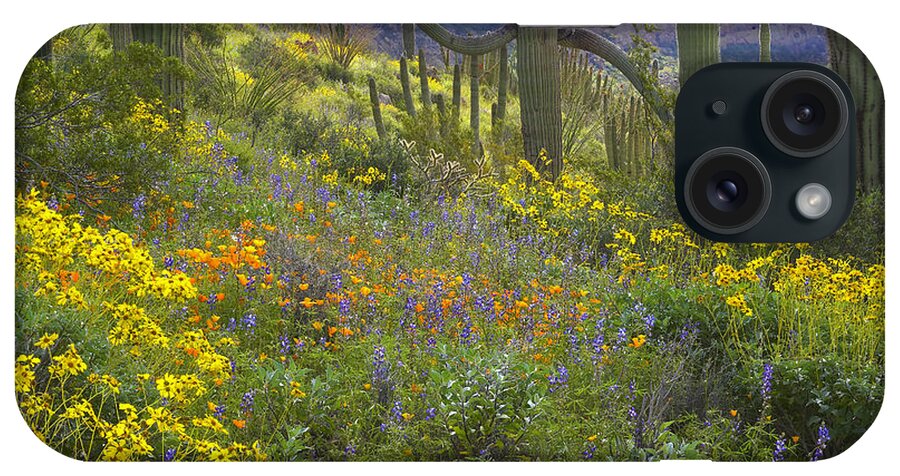 00175594 iPhone Case featuring the photograph Saguaro Amid Flowering Lupine #1 by Tim Fitzharris
