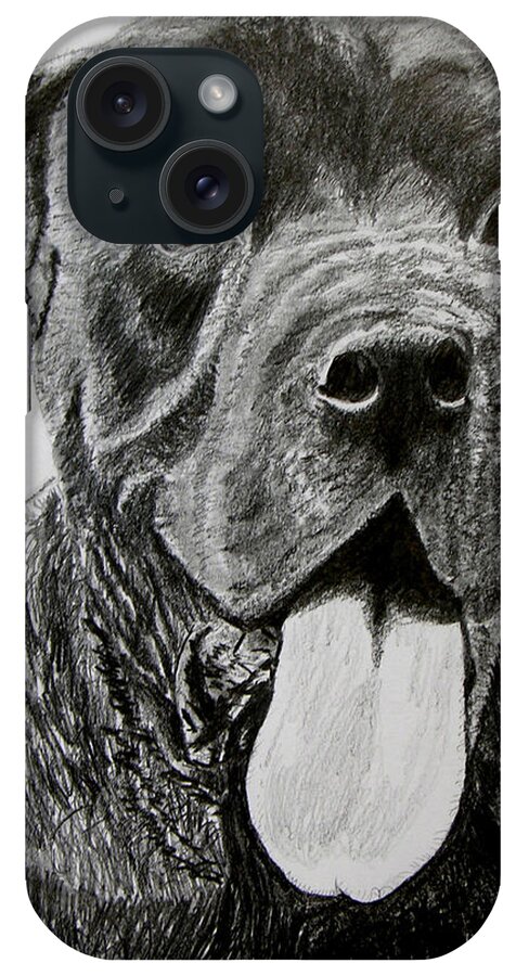 Dog Portrait iPhone Case featuring the drawing Sampson #2 by Stan Hamilton