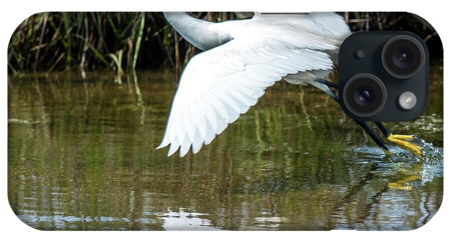 Animal iPhone Case featuring the photograph Snowy Egret Takeoff #1 by William Bitman