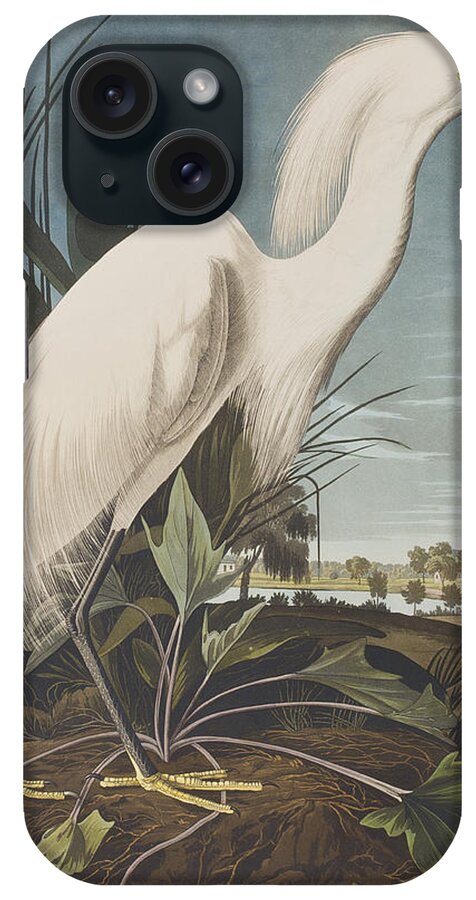 Audubon iPhone Case featuring the painting Snowy Heron by John James Audubon