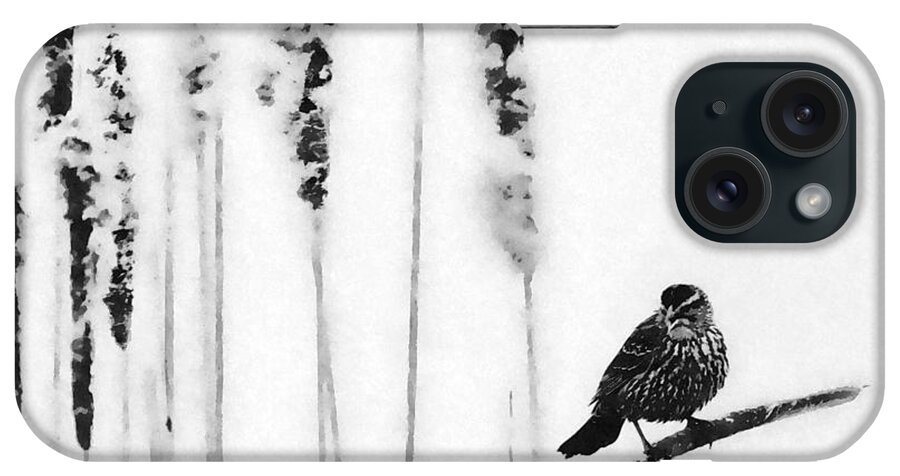 Song Bird iPhone Case featuring the photograph Song Bird #1 by Andrea Kollo