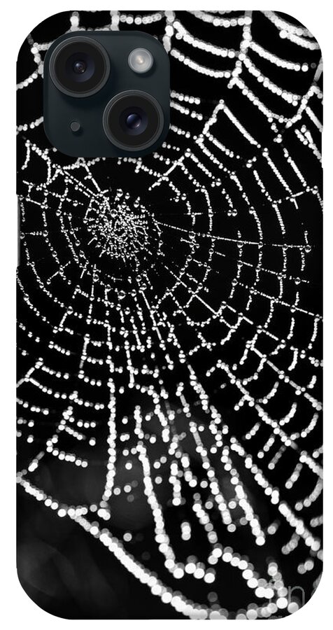 Spider Web iPhone Case featuring the photograph Spider Web Jewels #2 by Tamara Becker