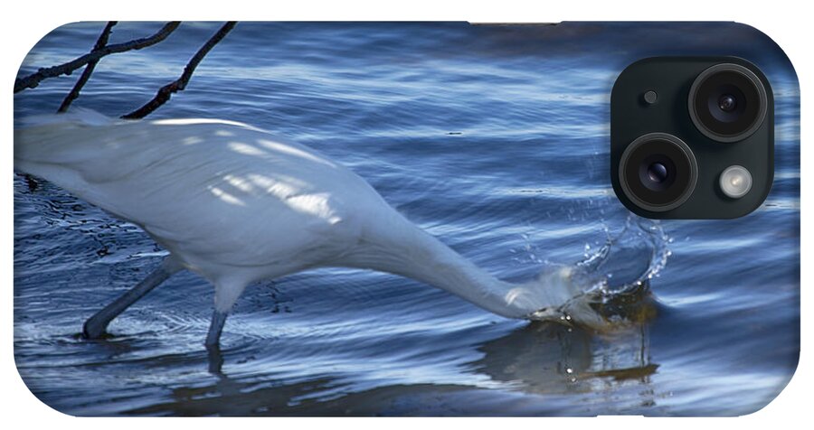 Egret iPhone Case featuring the photograph Splashing About #1 by Douglas Barnard