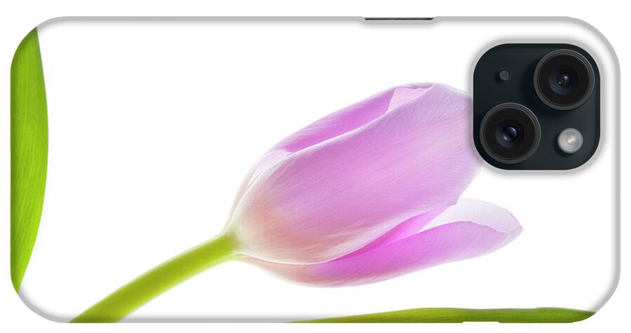 Tulip iPhone Case featuring the photograph Spring Has Sprung by Patty Colabuono
