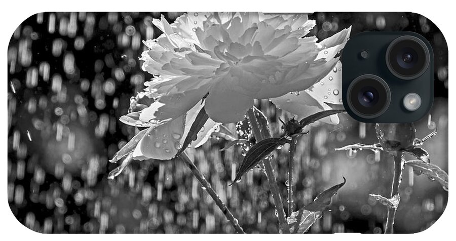 Peony iPhone Case featuring the photograph Spring Rain - 365-13 by Inge Riis McDonald