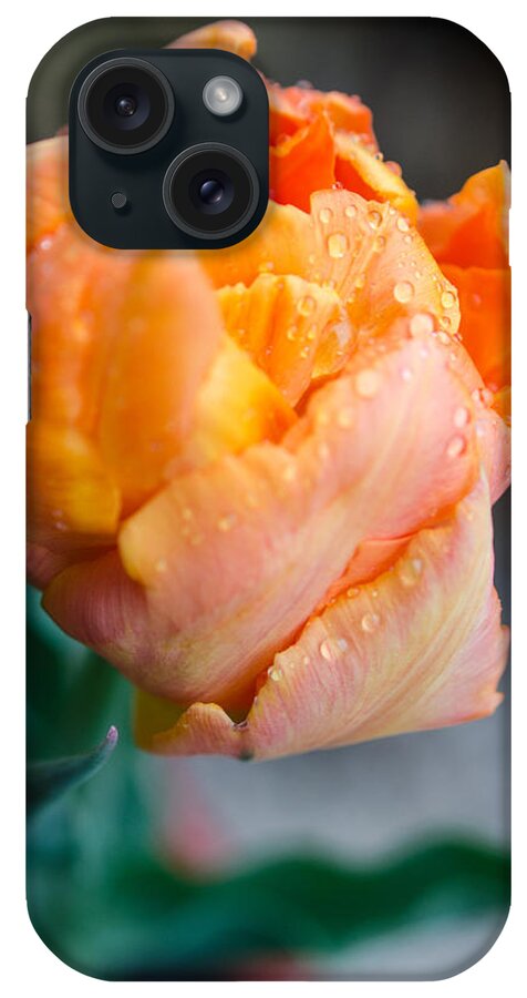Winterpacht iPhone Case featuring the photograph Spring Rains on Flowers by Miguel Winterpacht