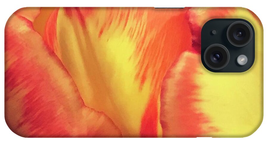 Tulips iPhone Case featuring the photograph Spring Tulips #1 by Deena Withycombe