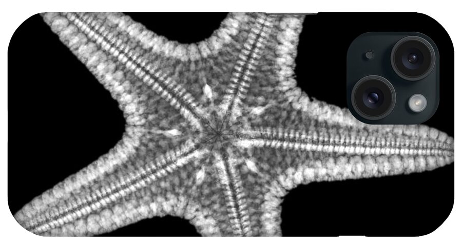 Xray iPhone Case featuring the photograph Starfish #1 by Ted Kinsman