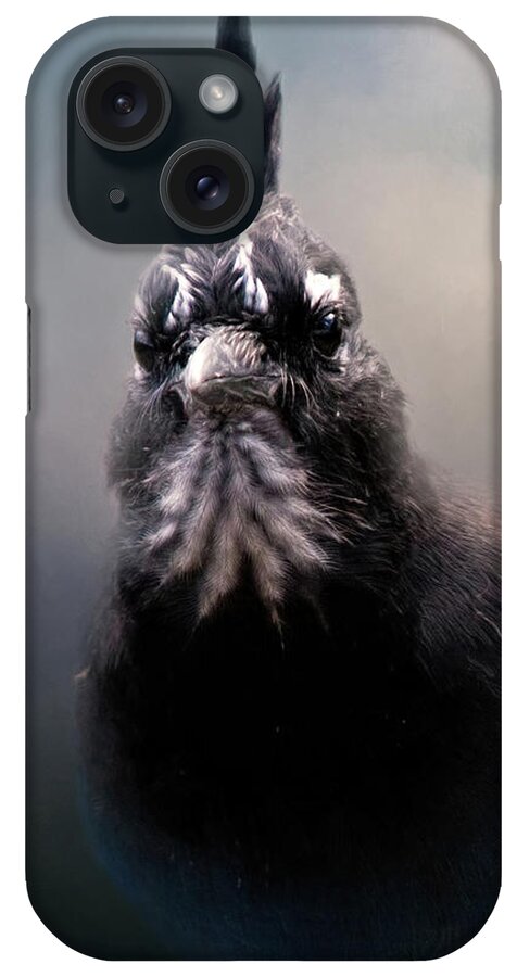 Animal iPhone Case featuring the photograph Steller's Jay #1 by Lana Trussell