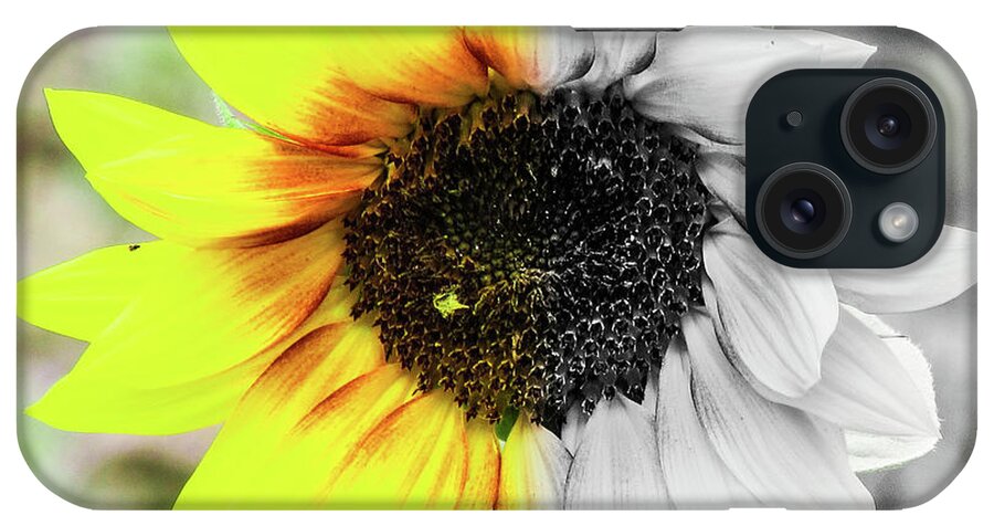 Flower iPhone Case featuring the photograph Sunflower #1 by Cesar Vieira
