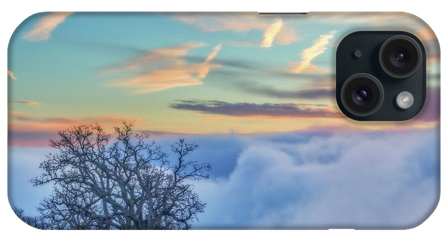 Landscape iPhone Case featuring the photograph Sunrise hike at Los Vaqueros #1 by Marc Crumpler