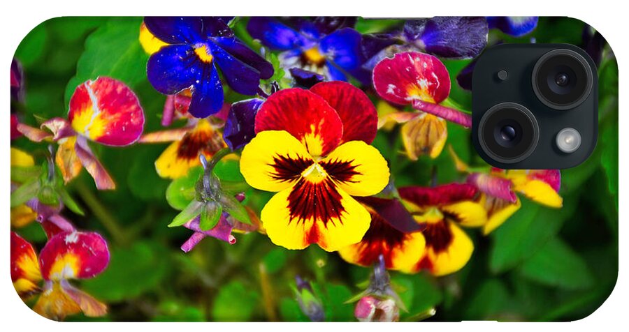 Sunset iPhone Case featuring the photograph Sunset Pansy #2 by Robert Meyers-Lussier