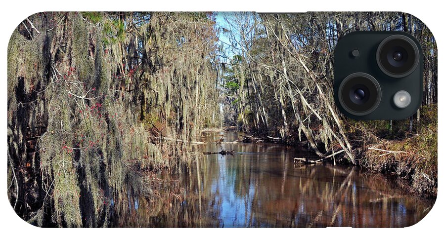 Nature iPhone Case featuring the photograph Swampy Creek #2 by Kay Lovingood