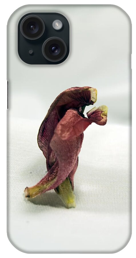 Tulips iPhone Case featuring the photograph The Dance #1 by Elsa Santoro