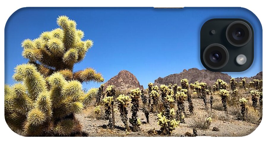 Cactus iPhone Case featuring the photograph The Gathering #1 by Brad Hodges