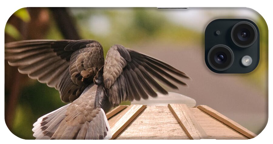 Mourning Dove iPhone Case featuring the photograph The View From My Window - Mourning Dove #1 by Winston D Munnings