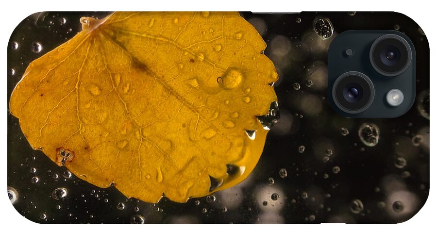 Autumn iPhone Case featuring the photograph This one followed me home... #1 by Craig Szymanski
