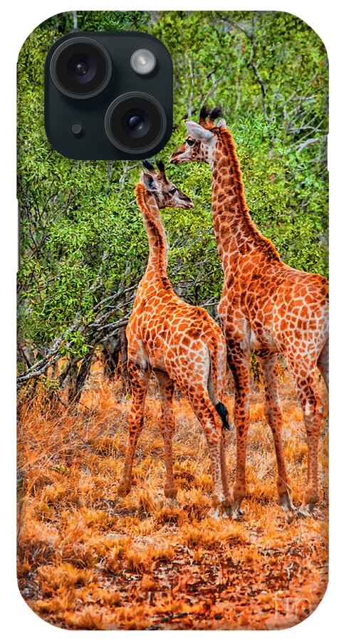 South Africa Giraffes Open Areas iPhone Case featuring the photograph Together #1 by Rick Bragan