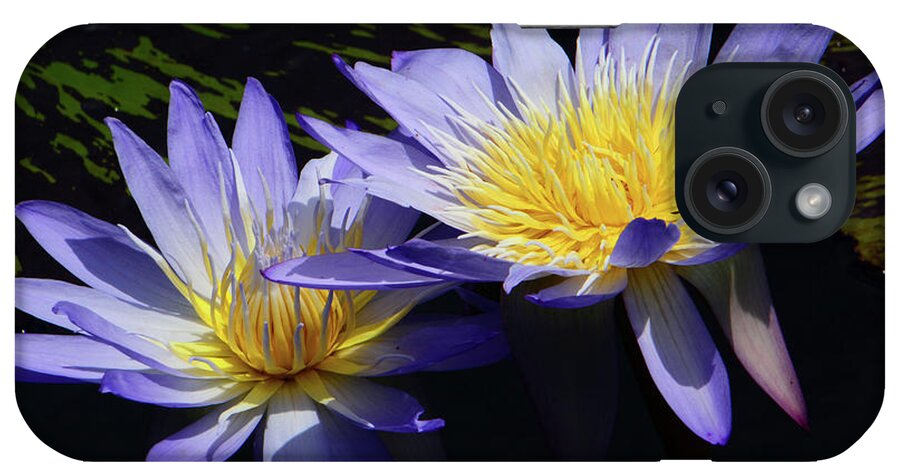 Flowers iPhone Case featuring the photograph Two of a Kind #1 by Cindy Manero