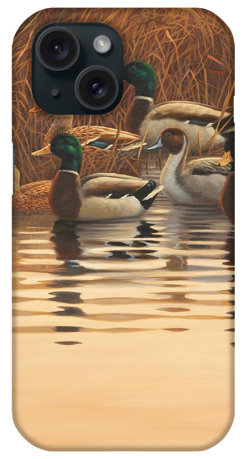 Mallards iPhone Case featuring the painting Very First Light by Guy Crittenden