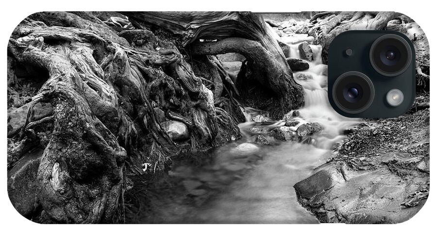Cascade iPhone Case featuring the photograph Water flowing through tree roots #2 by Michalakis Ppalis