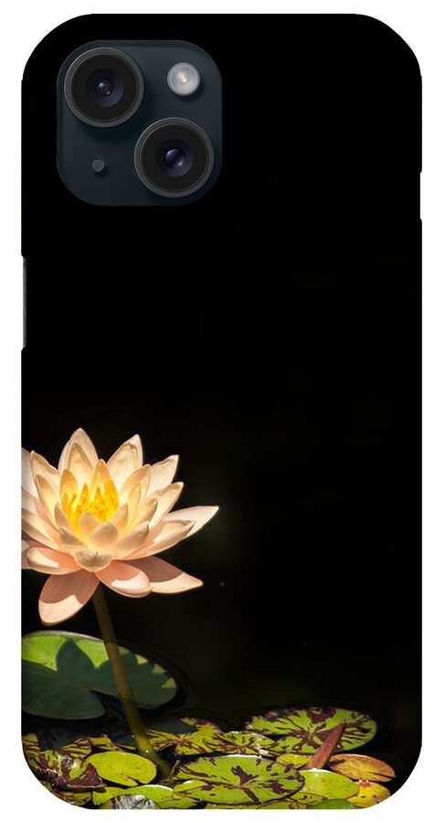 Cleveland iPhone Case featuring the photograph Water Lily #1 by Stewart Helberg