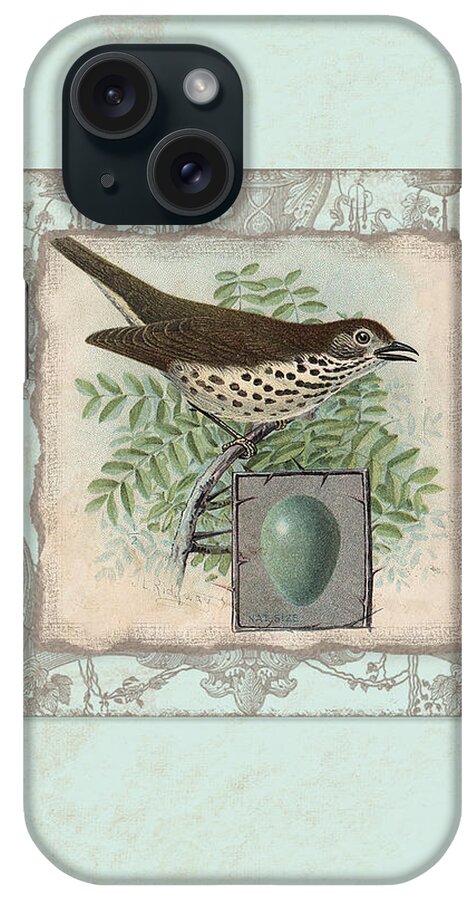 Robin iPhone Case featuring the painting Welcome to our Nest - Vintage Bird w Egg #1 by Audrey Jeanne Roberts