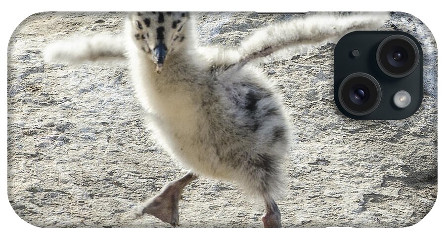 Wildlife iPhone Case featuring the photograph Western Gull Chick Dancing #1 by William Bitman
