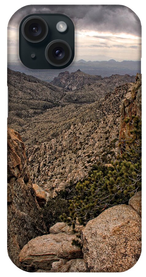 Mount Lemmon iPhone Case featuring the photograph Western Wilderness II #1 by Leda Robertson