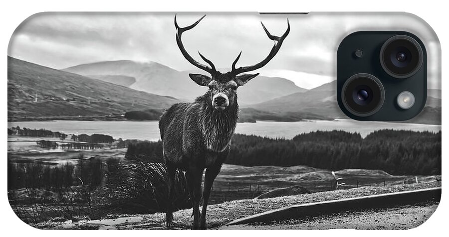 Stag iPhone Case featuring the photograph Wet Stag - Scotland #1 by Mountain Dreams