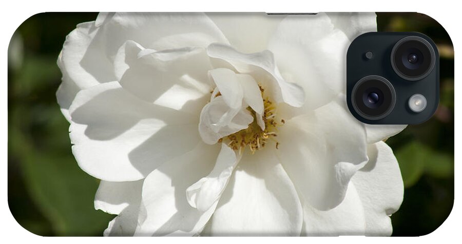 Rose iPhone Case featuring the photograph White Rose #1 by Martin Valeriano