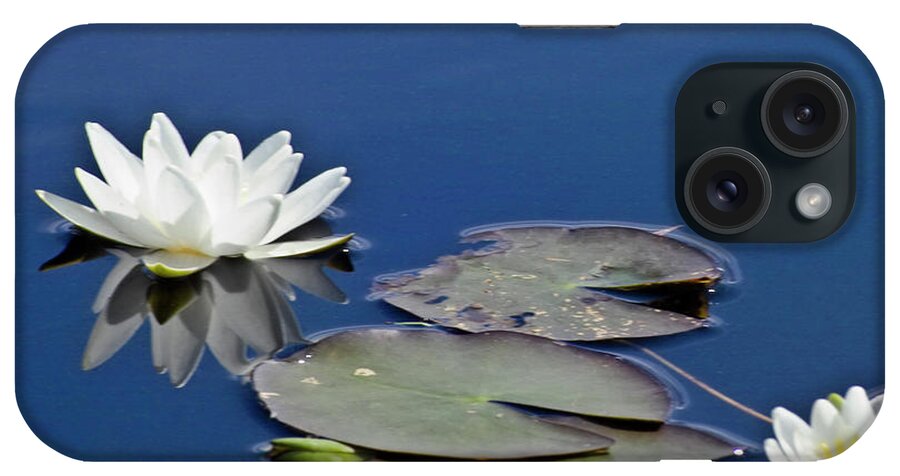 Water Llilies iPhone Case featuring the photograph White Water Lily #2 by Heiko Koehrer-Wagner