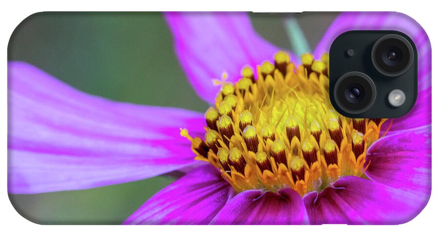 Abstract iPhone Case featuring the photograph Wild Purple Daisy #1 by SR Green