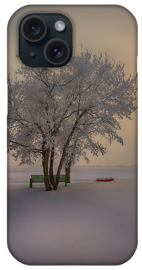 8x10 iPhone Case featuring the photograph Winter Beauty #1 by Ian McGregor