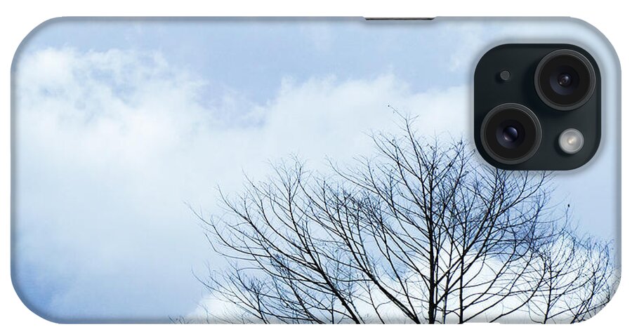Winter Fall White Sky iPhone Case featuring the photograph Winter Tree #1 by Adelista J