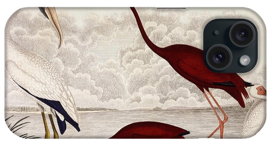 Wood Ibis iPhone Case featuring the painting Wood Ibis, Scarlet Flamingo, White Ibis by Alexander Wilson