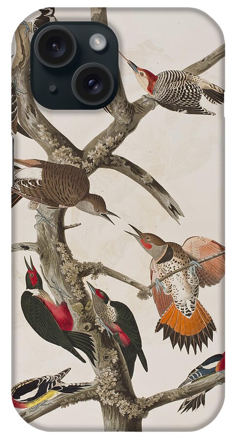 Audubon iPhone Case featuring the painting Woodpeckers by John James Audubon