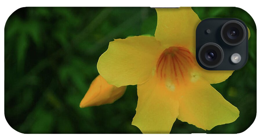 Flower iPhone Case featuring the photograph Yellow Beauty #1 by Gary Wonning
