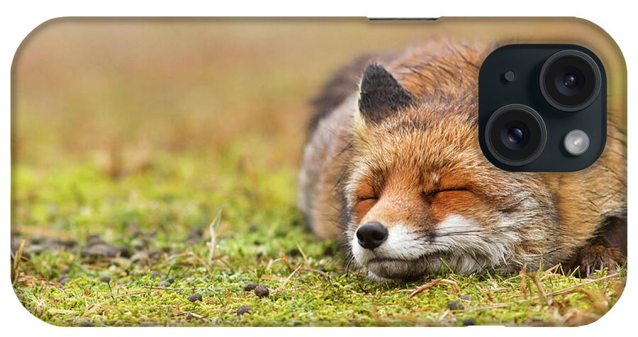 Fox iPhone Case featuring the photograph Zen Fox Series - Happy Fox is Happy II #1 by Roeselien Raimond